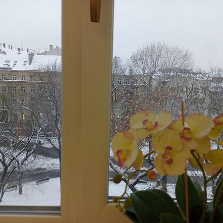 Apartment On Historical Center Of Lemberg Exterior foto