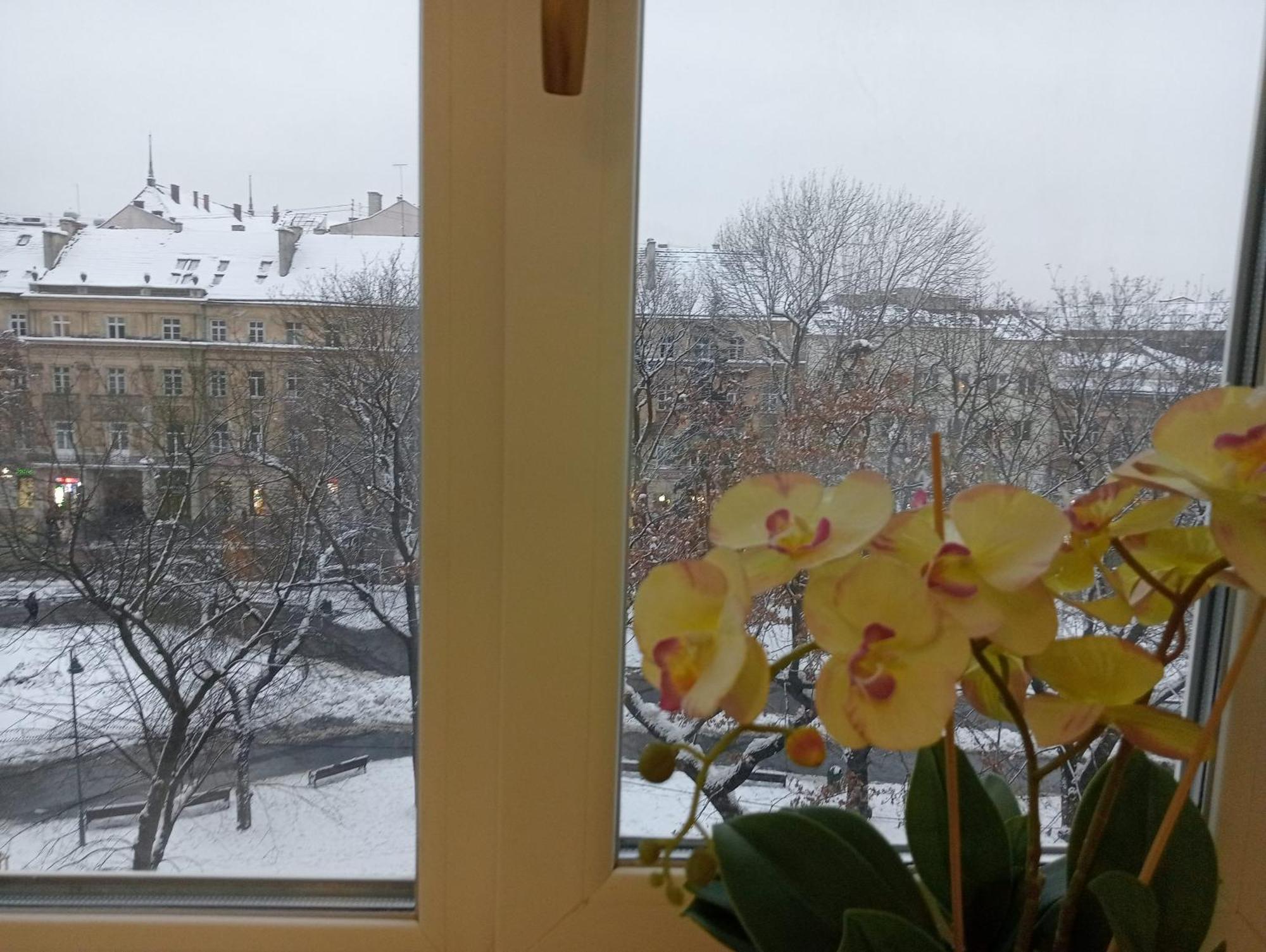 Apartment On Historical Center Of Lemberg Exterior foto